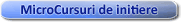MicroCursuri de initiere