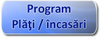 Program plati/incasari