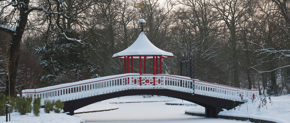 Mesajul Maestrului / Master's Message