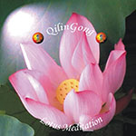 Lotus Muzica