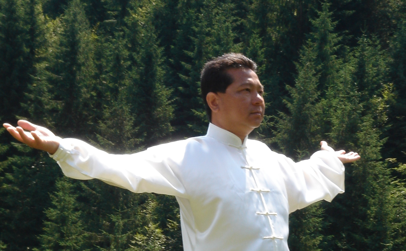 Master Lin Kai Ting