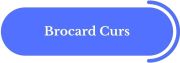 Cursuri de Brocard