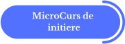MicroCursuri de Initiere