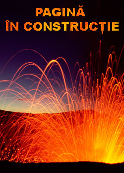 Pagina in constructie
